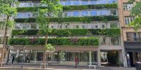 Millionenstreit um erste «Living Green Wall» in Zürich 