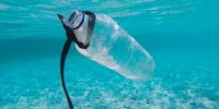 Stewardship: Die grossen Asset-Manager mischen sich noch zu wenig ein