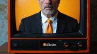 Warum der Bitcoin die nächsten Jahre nur steigen müsste
